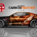 Layout Camaro Carbon Panther