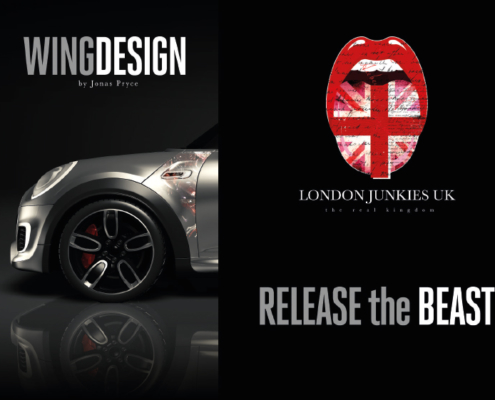 Mini Wing Design Release the Beast