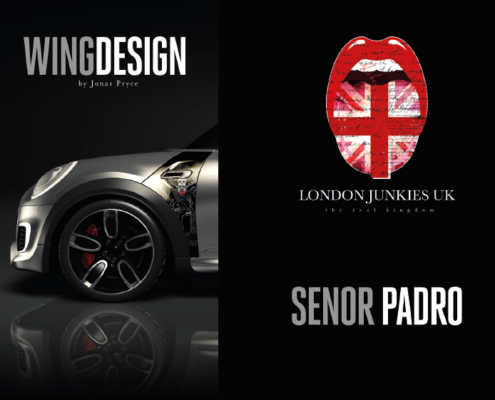 Mini Wing Design Senor Padro